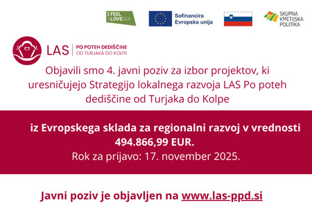 Objava 4. JP_Spletna stran